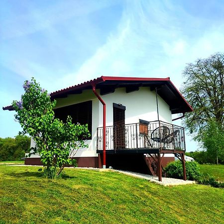 Apartma Kapelski Fant Sveti Jurij ob Scavnici Exterior foto